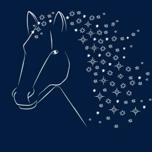 Dorth Vader Notecards