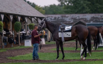 Dorth Vader Looks for Second Grade 1 Victory at Saratoga in Personal Ensign