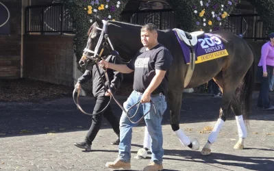 Stars Aligned To Bring Dorth Vader To Breeders’ Cup Distaff